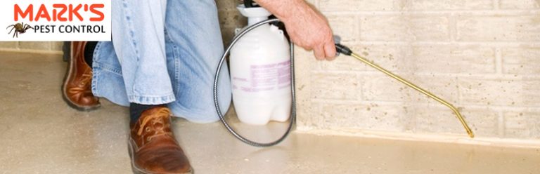 Professional Pest Controller
