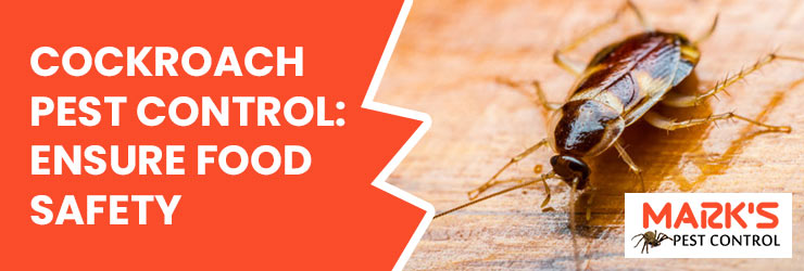 Cockroach Pest Control