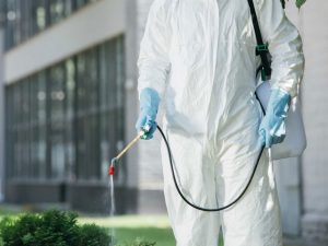 Commercial Pest Control
