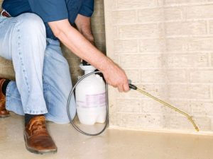 Pest Control Treatment