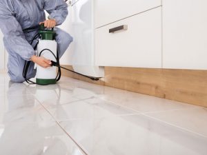 Residential Pest Control