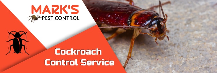 Cockroach Control Service