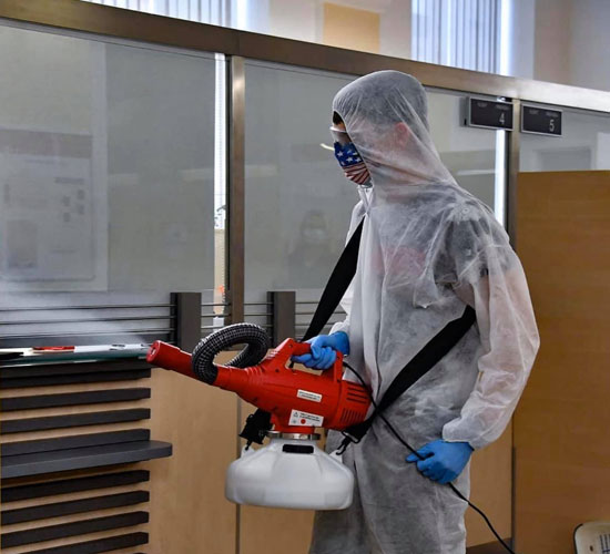 Expert pest control