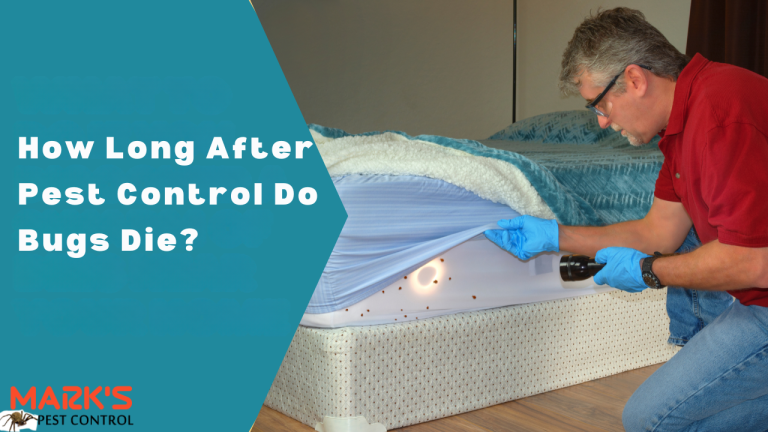 How Long After Pest Control Do Bugs Die