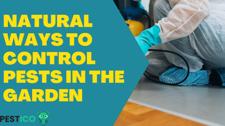 Natural Ways to Control Pests in the Garden