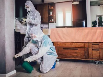 Pest Prevention